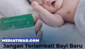 BPJS Kesehatan: Bayi Baru Lahir Tidak Otomatis Aktif JKN, Wajib Daftar dalam 28 Hari