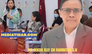 Sentil Dokter Spesialis, Plt. Sekda Belu: Jika Insentif Tak Dipangkas, 3.000 P3K Terancam Diberhentikan