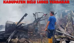 BREAKING NEWS: Dapur Milik Silas Taseseb di Belu Hangus, Aset Pertanian Tak Terselamatkan