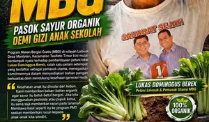 Petani Lalosuk Dukung Program MBG, Pasok Sayur Organik demi Gizi Anak Sekolah