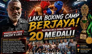 Laka Boxing Camp Berjaya! Pertina Belu Bawa Pulang 20 Medali dari Piala Rektor UPG 1945 NTT