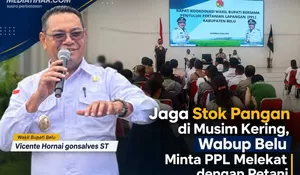 Antisipasi Krisis Air Musim Tanam II, Wabup Belu Vicente Hornai Minta PPL Siaga di Lapangan