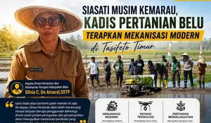 Siasat Cerdas Kadis Pertanian Belu Lawan Kemarau di MT II: Genjot Mekanisasi Modern!