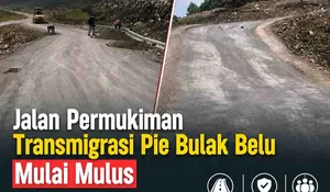 Tepis Rumor, CV Tunas Baru Pastikan Jalan Transmigrasi Belu Rampung Sesuai Kontrak