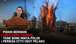 Pohon Beringin Soekarno Terbakar: Murni Bencana atau Disengaja? Yane Bone Minta Polisi Periksa CCTV Usut Pelaku