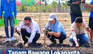 Genjot Sektor Pertanian Belu, Vicente Hornai Ajak Petani Fatuketi Budi Daya Bawang Lokananta