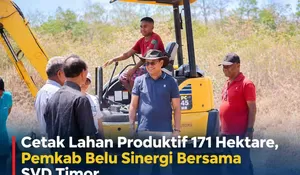 Optimalisasi Potensi Daerah, Pemkab Belu Gandeng SVD Timor Buka 171 Hektare Lahan di Nenuk