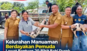 Dorong Kemandirian Pemuda, Kelurahan Manuaman Salurkan 20 Bibit Babi Durok