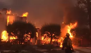 Penyebab Kebakaran Hutan Mengerikan di Los Angeles Dipicu Angin Santa Ana, Apa Itu?