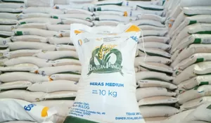 BANSOS BERAS 20 KG DAN MINYAK GORENG 4 LITER CAIR APRIL 2026, APAKAH KPM DESIL 5 MASIH DAPAT? SIMAK