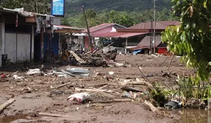Siapa Menteri Kehutanan Sebelum Raja Juli Antoni? Disorot soal Izin Buka Hutan