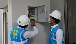 PLN Diprediksi Raup Laba Rekor di 2025, Pengamat Ingatkan Urgensi Reformasi Fundamental dan Risiko Subsidi