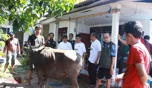 DMI Distribusikan Daging Kurban kepada Mustahik, Perkuat Nilai Pengorbanan dan Solidaritas Sosial