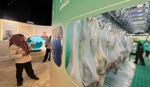 Haji 2026, Indonesia Tercatat sebagai Salah Satu Kontributor Terbesar Program Dam Resmi Arab Saudi
