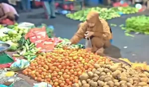 Cabai dan Bawang Masih Jadi Primadona, Ini Daftar Harga Sayuran Terbaru di Pasar Tumpah Bekasi per 3 Juni 2026