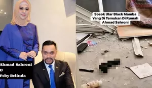 Viral 'Black Mamba' Ternyata Bukan Milik Ahmad Sahroni, Ini Faktanya