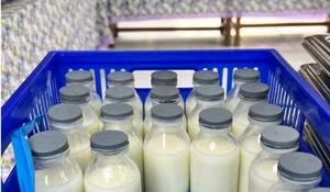 Susu MBG belum 100 Persen Lokal, BGN Tegaskan Tetap Mendapatkan Gizi Optimal