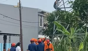 Terungkap, Gadis yang Naik Menara Sutet di Bojonggede Sudah 6 Kali Lakukan Hal Serupa