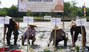 Kendalikan Inflasi, Pemkab Bogor Galakkan Gerakan Tanam Padi
