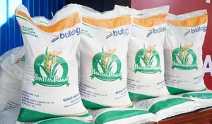 Sampai Kapan Penyaluran Bantuan Beras di Jember? Sasar 202 Ribu KPM