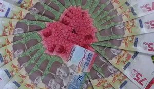Update Jadwal Pencairan Insentif Guru Honorer PAUD 2026 dan Cara Cek Data di Dapodik
