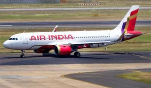 Apakah Serangan Burung Jadi Penyebab Kecelakaan Pesawat Air India Bandara Ahmedabad? Ini Penjelasannya