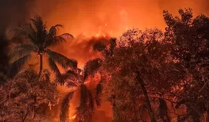 Identitas Korban Tewas Insiden Kebakaran Demo Massa Gedung DPRD di Makassar