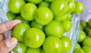 Anggur Muscat Lagi Viral, Bikin Satu Keluarga di Malaysia Sakit Batuk hingga Demam