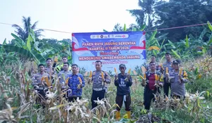Panen Raya Jagung Jadi Bukti Sinergitas Polri dan Masyarakat dalam Menjaga Ketahanan Pangan