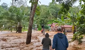 Update Korban Bencana Banjir dan Longsor Sumatera: 604 Jiwa Meninggal Dunia, 464 Orang Masih Hilang