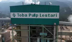 Siapa Pemilik PT Toba Pulp Lestari? Dituding Biang Kerok Banjir di Sumatera