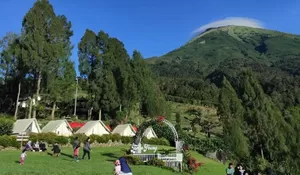 Kerennya Gak Ada Duanya! Golden Sunrise Terbaik di Camping Ground Taman Wisata Posong, Di Jamin Kamu Gak Mau Pulang
