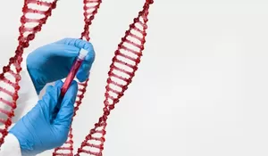 Cek Golongan Darah Bisa Dilakukan dengan Aplikasi Loh, Ini Dia Caranya