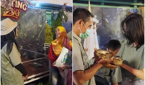 Ada Kebun Binatang Terbaik di Indonesia, Mau Main? Langsung Datang Saja ke Yogyakarta Biar Ga Nyesel