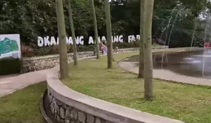 Pengen Anak Bisa Menunggangi Kerbau hingga Panen Sayur di Depok? Langsung Datang Saja ke Sawangan, Harganya Murah Banget