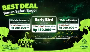 Rasakan Meriahnya Pergantian Tahun di Taman Safari Puncak Sembari Melihat Hutan Menyala, Tiket Early Bird Sudah Bisa Dipesan
