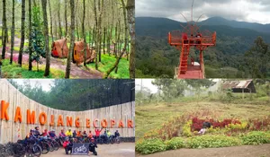 Baru Tau, Ternyata Garut Punya Hidden Gem Nuansa Hutan Pinus dengan Berbagai Wahana Seru Dijamin Betah, Tiketnya pun Murah!