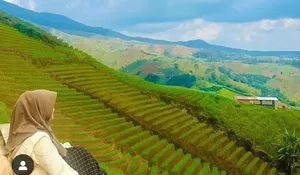 Ingin Lebih Dekat dengan Alam Sembari Menikmati Keindahan Kebun Membentang, Mari ke Panyaweuyan Argapura Majalengka