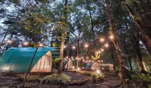 Glamping Hejo Forest Tawarkan Paket Rp 65 Ribu Sudah Dapat Sarapan Gratis, WiFi Hingga Pemandian Air Panas