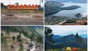 Serunya Camping di Togaraja Samosir, Karcis Masuk Cuma Rp5.000 Aja hingga Bisa Dapat Banyak Spot Foto dan Video