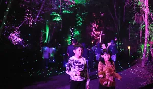 Promo HTM Taman Safari Bogor, Rp235 Ribu Sudah Termasuk Pertunjukan Hewan dan Parade Hutan Menyala dengan Ornamen Lampu Penuh Kejutan