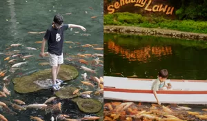 Sendang Lawu Spot Healing Terbaik Dibalut Hidden Cafe, Restoran dan Rekreasi plus Tempat Camping Semuanya Ada di Sini! HTM GRATIS