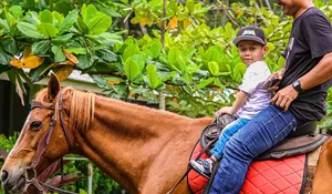 HTM Rp 40 Ribu Sudah Bisa Ke Kebun Binatang, Aquarium, Hingga Glamping, Hanya di Central Park Zoo Medan