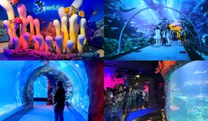 Bintaro Sekarang Punya Laut Loh! HTM mulai dari Rp 85 ribu aja, Udah Bisa Foto-foto, Liat Hiu, Ikan Pari hingga Ubur -Ubur, Ayo Kesini