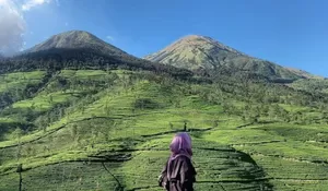 Gak Perlu Capek-capek Mendaki, Cuma 10 Menit Bisa Langsung Sampai Puncak Gunung Cilik Kaliurip Wonosobo dengan View Kebun Teh dan Dua Gunung Sekaligus