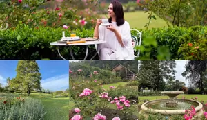Wonderful! Ada English Garden di Garut Tiketnya Rp17.500, Wisata Ini Suguhkan Kebun Mawar yang Hits-Berkelas View Bunga Cantik Warna-Warni