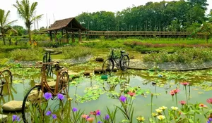 Mau Liburan Pemilu Ala Pedesaan? Yuk ke Kampung Flory Spot Wisata Alam Hits dan Edukasi Unik, Cuman Rp15 Ribu Dapat Minum Gratis Loh! 