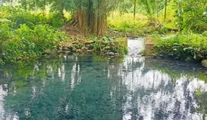 Seger Banget, Yuk Rasakan Sensasi Berenang di Air Es Hanya di Pemandian Cilembur Pandeglang yang Berasal dari 2 Gunung, HTM-nya Gratis