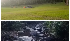 HTM Rp15 Ribu, Piknik di Taman Selabintana yang Super Luas, Bisa Trekking Camping dan Nikmati Live Music di Tengah Sejuknya Udara