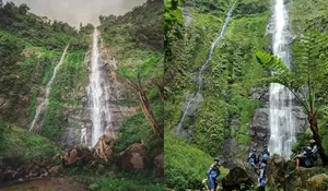 Libur Lebaran di Pasuruan? Ini 5 Rekomendasi Air Terjun Hidden Gem dengan Tebing Eskotis, View Hutan Pinus Adem Bikin Ogah Pulang! 